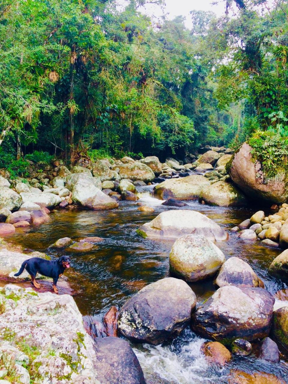 Eco Chales Caminho Das Aguas Barra Grande  Luaran gambar